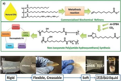 Prog. Poly. Sci.综述 生物基高分子材料 结合化学合成与材料加工