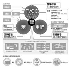 走过小时代 遇上森林之星