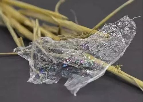 这些生物基塑料有着与传统塑料类似的性质,但是它们是用植物基原材料