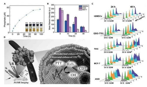 Matter综述 磷基多功能纳米材料的设计制备及生物医学应用