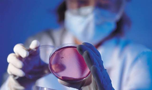 科技领域率先发力 生物基材料为何成为重中之重