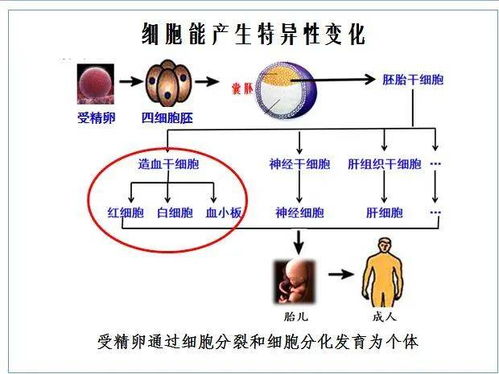 衢州市高一生物新教材教学研究暨绍兴市卓明阳名师工作室强基计划教学研讨活动