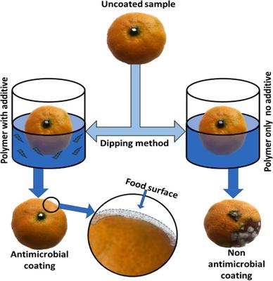 华中大杨光教授团队《Food Hydrocoll.》综述:用于活性食品包装的生物基材料的研究进展