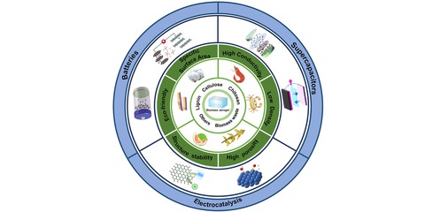 人才强校 | 理学院应用物理系罗炳程教授在生物碳基功能材料研究中取得新进展