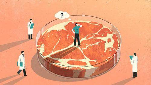 烈火烹饪 下的中国式 人造肉