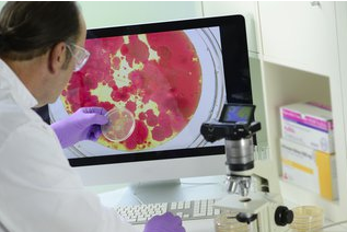 抗菌阳离子丙烯酸酯基杂化涂料,可防止微生物污染