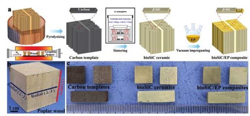 西安交大杨建锋、王波《Adv.Sci.》:利用木材衍生3D SiC框架,设计出导热率高达10.27W/mK的复合材料
