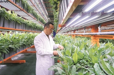 提质增效 向“新”图强