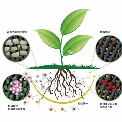 时科根满作炭基微生物菌剂改良土壤促根养根