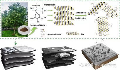 Small Methods: 生物质材料助力高导热高离子可及性的三维锂金属负极