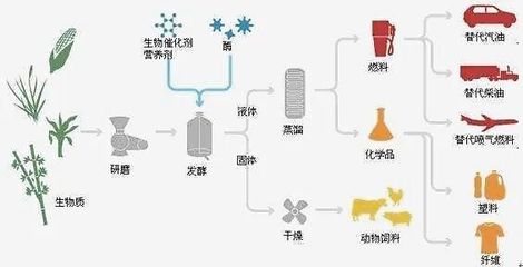 楹鼎:生物质新材料引领者 破题绿色经济