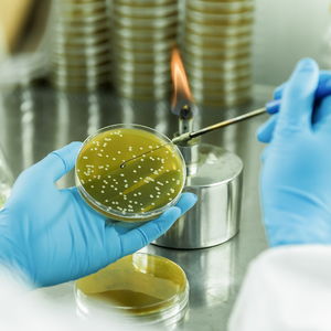 招商局集团领航生物基聚酰胺创新突破 打造生物经济新引擎