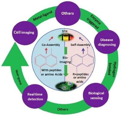 上海交大冯传良教授课题组在国际知名期刊上发表综述文章:用作生物成像探针的超分子荧光水凝胶
