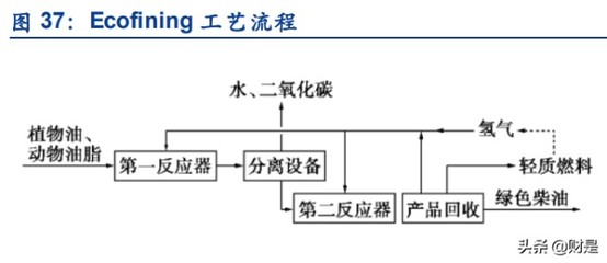 生物柴油龙头卓越新能研究报告
