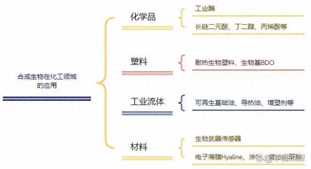 合成生物技术在环保,医疗和食品制造等领域有着广泛的应用前.