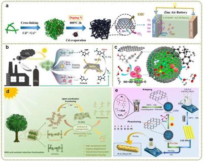 天津科技大学司传领、王冠华等Adv. Colloid Interfac.综述: 生物质衍生碳基单原子催化剂的制备及应用