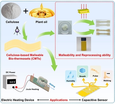 化工院教师在《Advanced Functional Materials》上发表生物基功能性材料系列研究成果