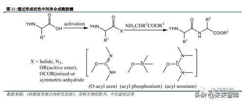 多肽合成试剂行业研究 迎加速发展机遇