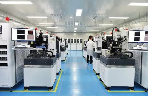 中国科学院院士骆清铭 看见 大脑