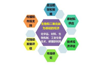 【行业资讯】nova-Institute总经理带您分享全球生物基材料和化学品最新发展现状