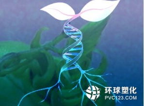 生物基路径生产工程树脂原料技术开发中