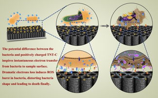 novel antibacterial platform based on capacitive materials developed