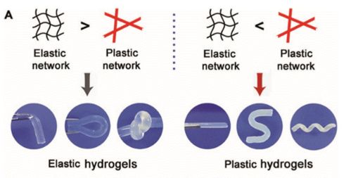 生物综述系列 探索生物基高分子材料力学特性