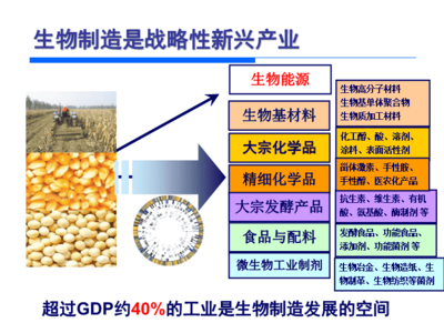 生物制造国内外状况.ppt