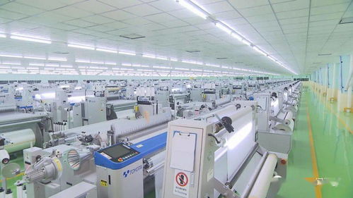 中国 安徽 自贸试验区蚌埠片区 构筑世界级硅基和生物基制造业中心