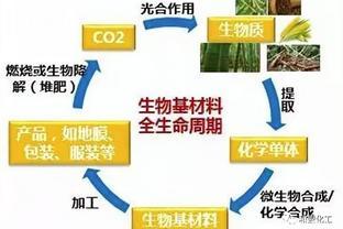 TDI甲苯二异氰酸酯价格走势