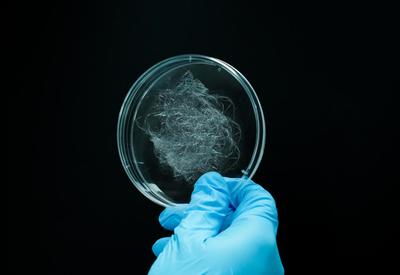 编织未来!态创生物以合成生物制造蛛丝蛋白,助推生物基新材料发展