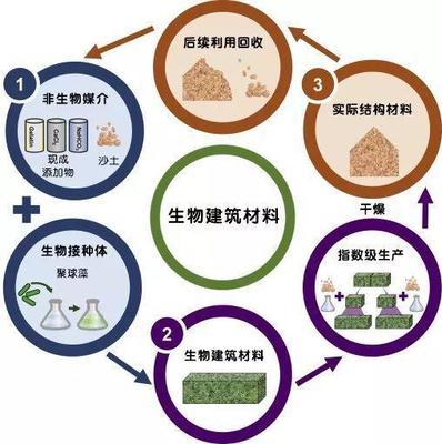 一生二、二生四的“活”材料