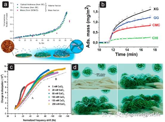 if72087的顶级综述生物基纳米材料先进材料界面相互作用