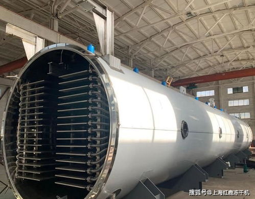 宠物冻干机器价格