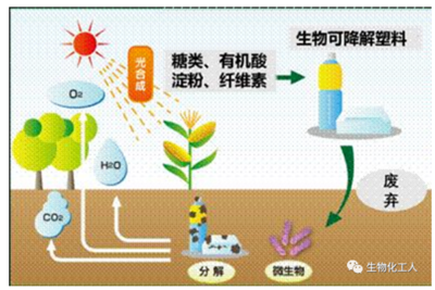 一篇文章看懂高分子材料可循环、可再生、可降解的区别