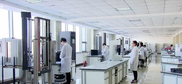 提前开工 全国最大的生物基复合材料项目开工啦