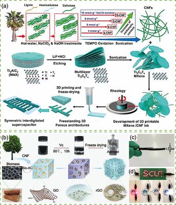 天津科技大学司传领、徐婷/南京林业大学蔡旭敏《Aggregate》封面论文:用于先进超级电容器的生物质基材料
