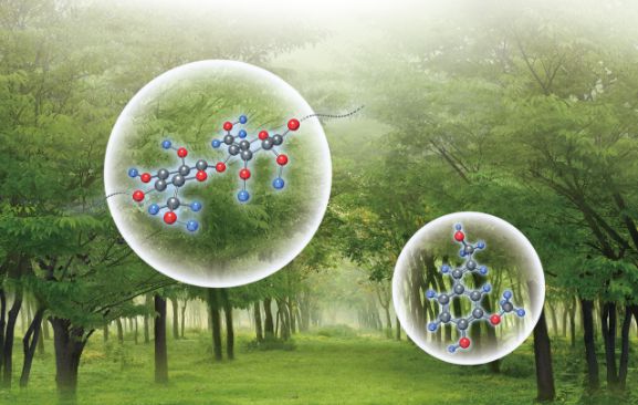 储富祥生物基高分子新材料