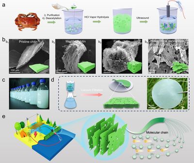 《Advanced Energy Materials》刊发我校叶冬冬教授团队在生物质领域研究成果