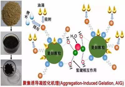 【科研】新疆理化所在生物基凝油材料研究领域取得进展