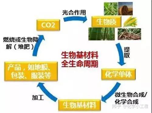 生物基材料:助力绿色环保的"未来之钥" - 