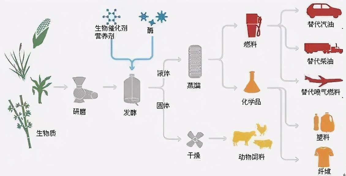 "生物基材料"是什么?不妨了解一下,真环保的新材料