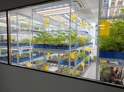 江苏南通:细胞里建工厂?马铃薯变身“打工人”?探秘智能生物制造产业“奇幻世界”