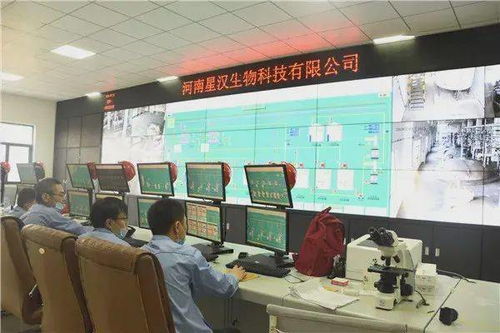 生物降解材料产值达到1亿元,南乐打造国家级生物基材料产业集群