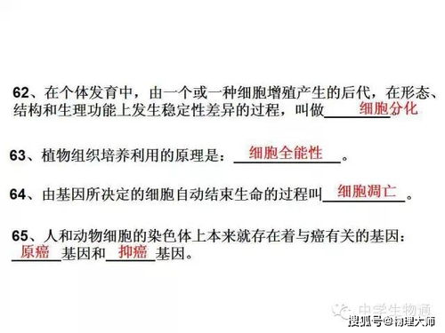 高中生物 复习资料,基础知识一篇打尽