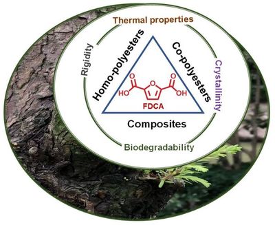 IF:5.0,连续5年增长!致力于聚合物科学发展--Polymers | MDPI 期刊推荐