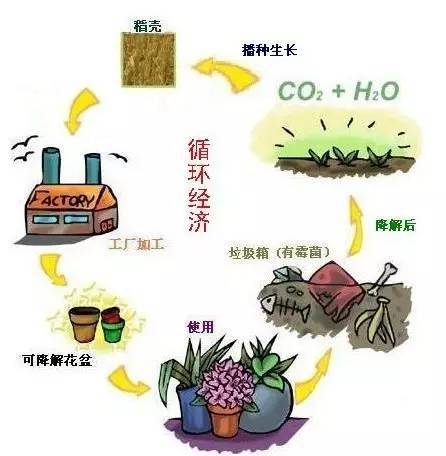 露天焚烧秸秆?不能干!