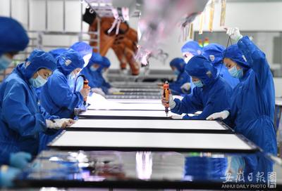 打造世界级硅基与生物基制造业中心 生物基材料制造的机遇与路径