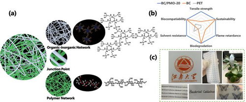 可生物降解双网络纤维素基复合膜超材料 塑料替代的未来先锋