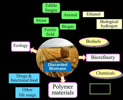废弃生物质材料基功能高分子材料的制备与应用研究进展——评西北师范大学王荣民教授的系统评述及生物基材料销售前景